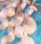 Russian Blonde Bundles